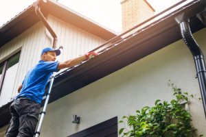 Cleaning gutters in Hamilton