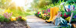 A wooden path running through the centre of a flower garden with gumboots and gardening equipment on it.