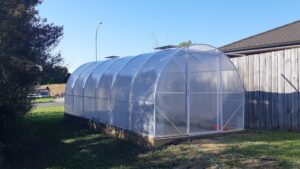 a well maintained tunnel house